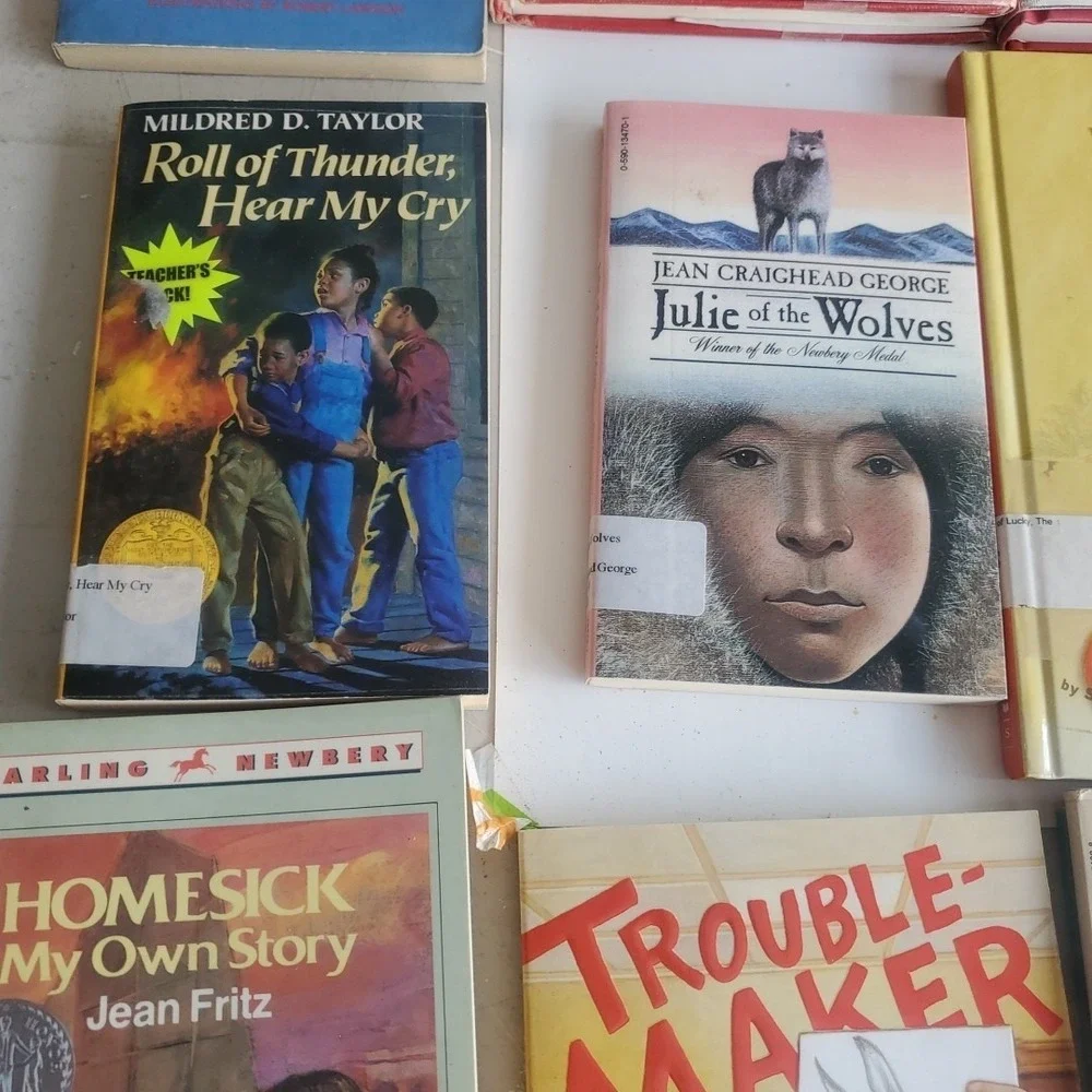Lot of 24 Level  5 RL~ Reading‎ Learn Books MIX Youth Middle School PB HC HB